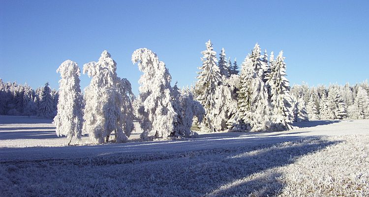 Schaftlach im Winter