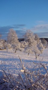 Winter in Waakirchen